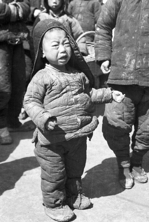 河南人，要不是你的祖辈在“河南大饥荒”中忍饥挨饿求生存，也就没有你啊！