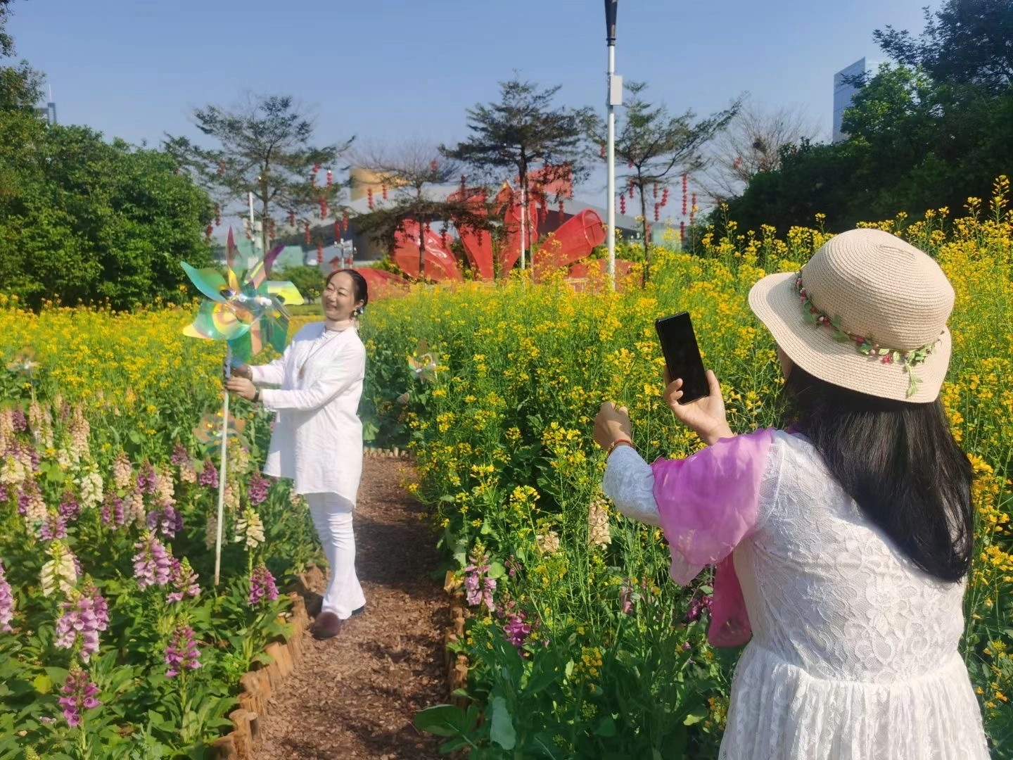 图集｜10万余株、3300平方米油菜花盛开，深圳市民中心春意盎然