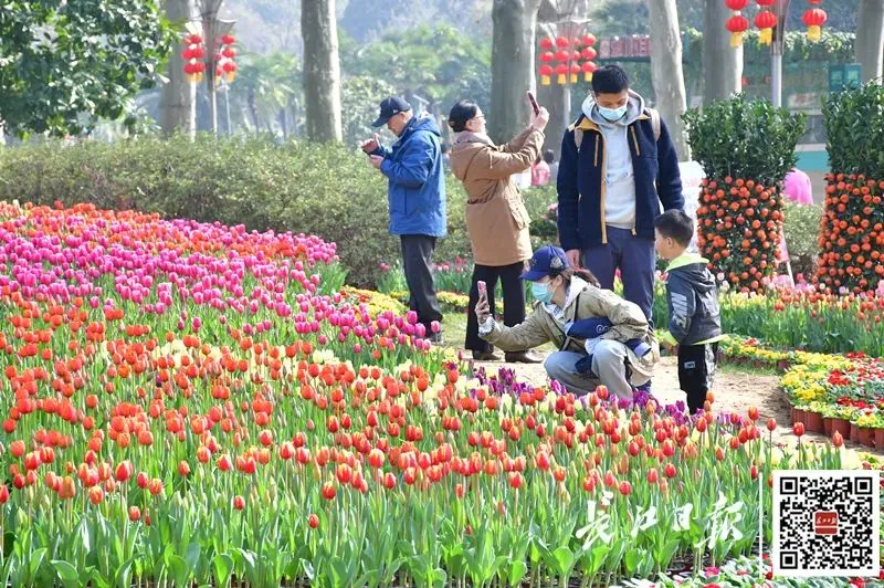 2021，春归武汉！花相似，人不同