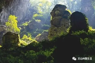 文山州这里有个岩蜂洞，神奇的天然“草药铺”