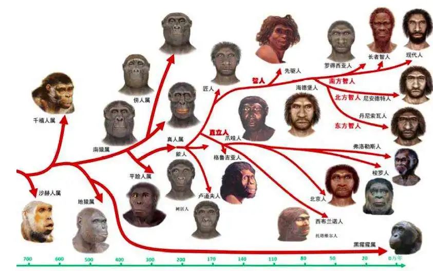 巴瑶族人出现“人类正在进化”的证据，未来会有新人类诞生吗？