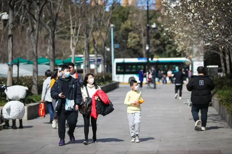 申城春来早，白玉兰提前半个月绽放……