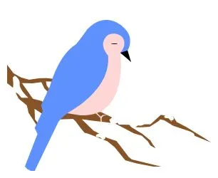 6只白天鹅！海阳湿地公园来了一批特殊的客人