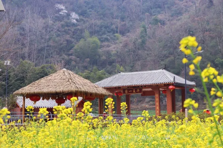 旬阳：春到五龙湾
