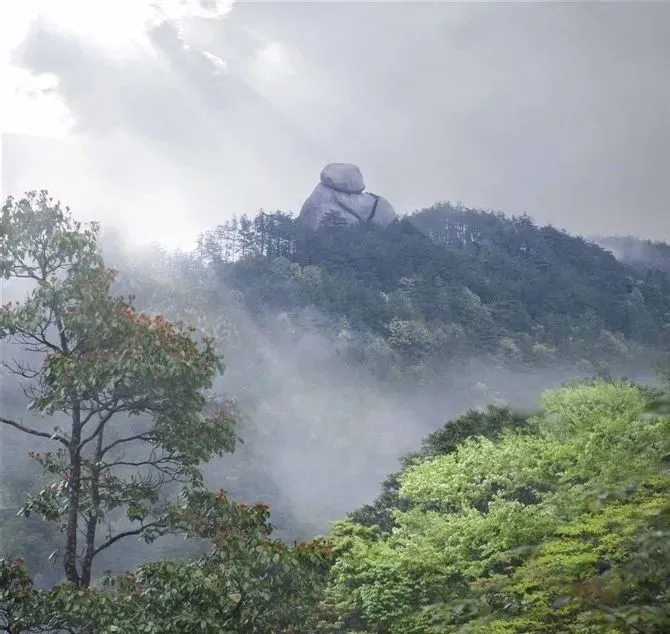 游在闽北｜建瓯：远离城市喧嚣，蟹龙岗带你和森林一起“森呼吸”