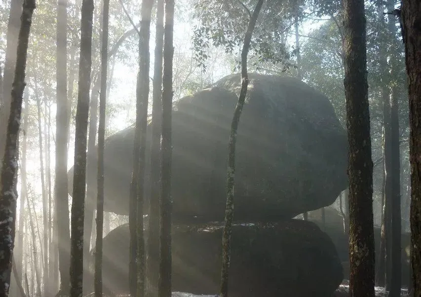 游在闽北｜建瓯：远离城市喧嚣，蟹龙岗带你和森林一起“森呼吸”