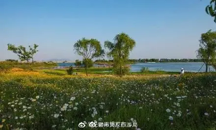 贡湖湾湿地公园 早春好去处