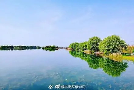 贡湖湾湿地公园 早春好去处