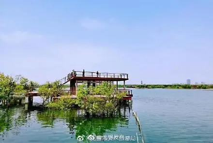 贡湖湾湿地公园 早春好去处