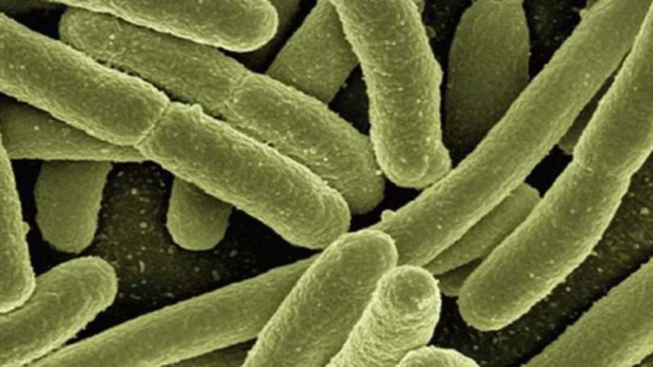 为了永生，科学家向自己注射350万年前的细菌，如今怎么样了？