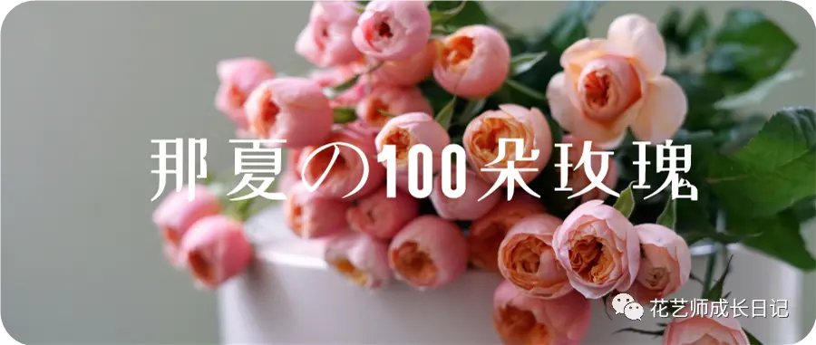 100朵玫瑰vol.8：进口玫瑰中的莫兰迪，低饱和度的高级烟熏紫，优雅知性！