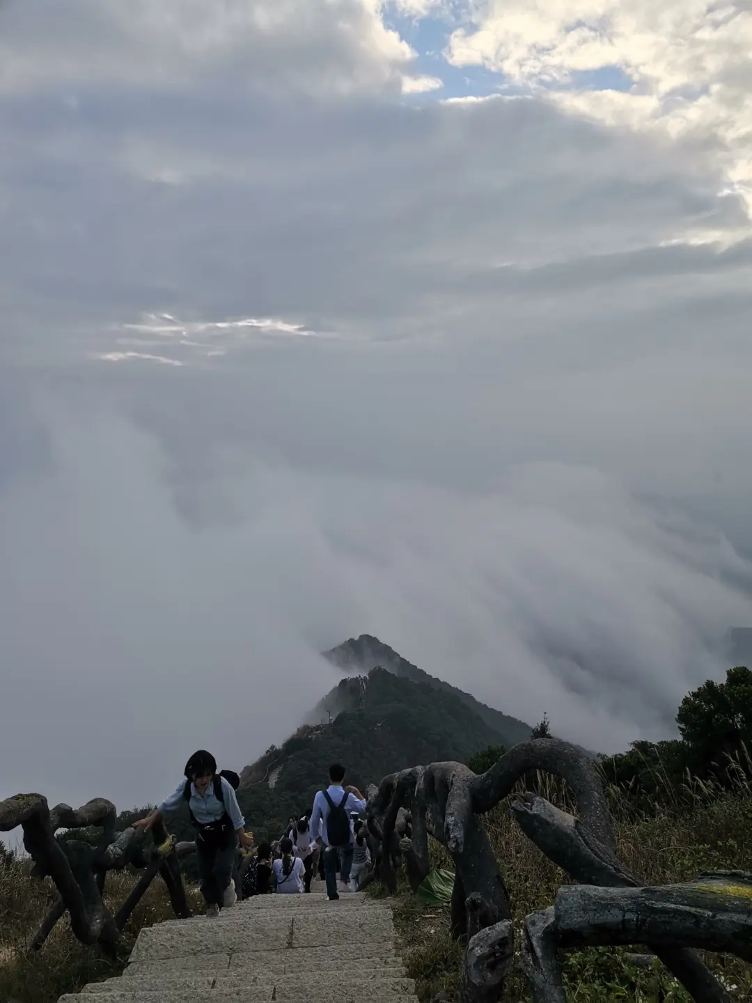 深圳梧桐山，翻涌的云海，满山的杜鹃花，今日份治愈来源它