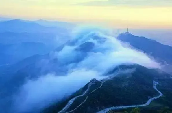 深圳梧桐山，翻涌的云海，满山的杜鹃花，今日份治愈来源它