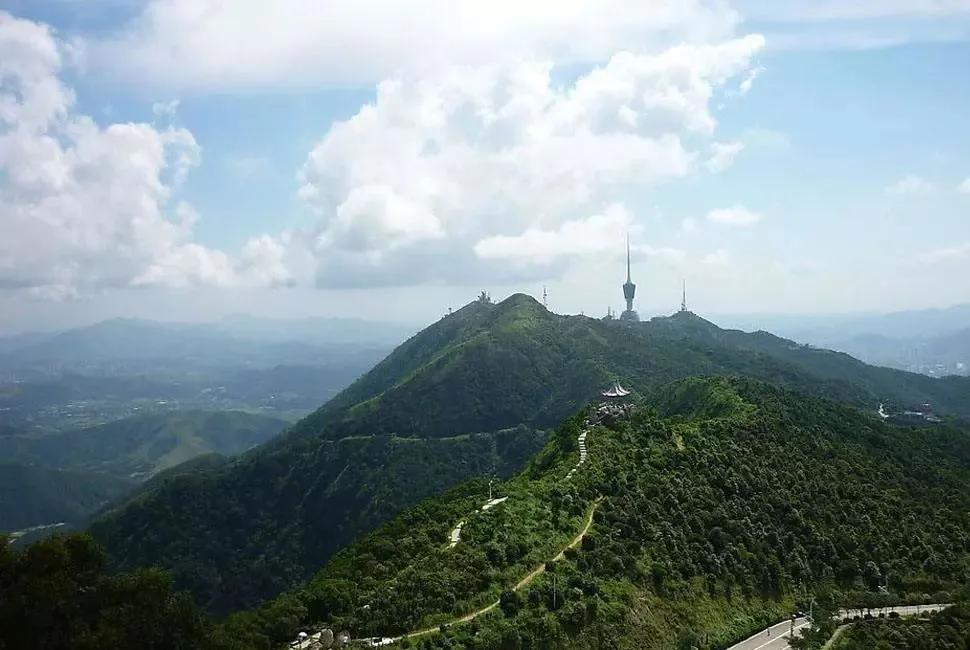 深圳梧桐山，翻涌的云海，满山的杜鹃花，今日份治愈来源它