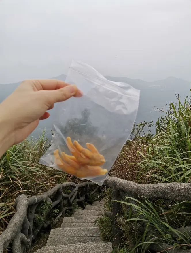 深圳梧桐山，翻涌的云海，满山的杜鹃花，今日份治愈来源它