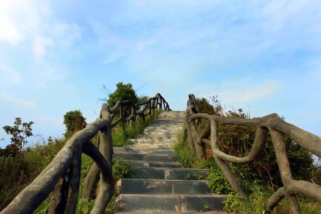 深圳梧桐山，翻涌的云海，满山的杜鹃花，今日份治愈来源它