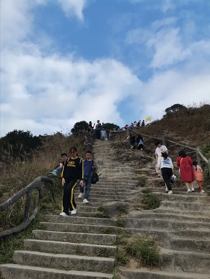 深圳梧桐山，翻涌的云海，满山的杜鹃花，今日份治愈来源它