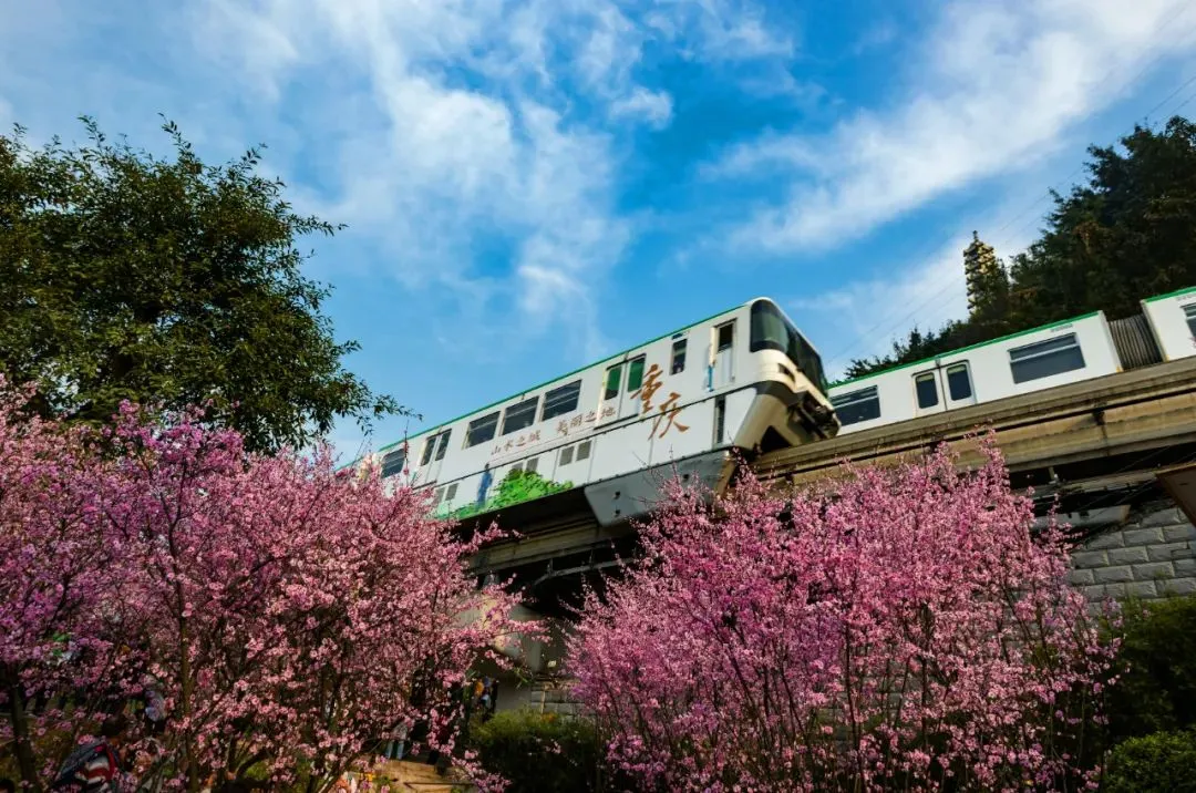 “开往春天的列车”，正载着这座城市的希望，驶向幸福！