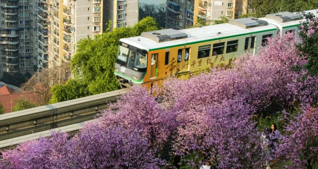 “开往春天的列车”，正载着这座城市的希望，驶向幸福！