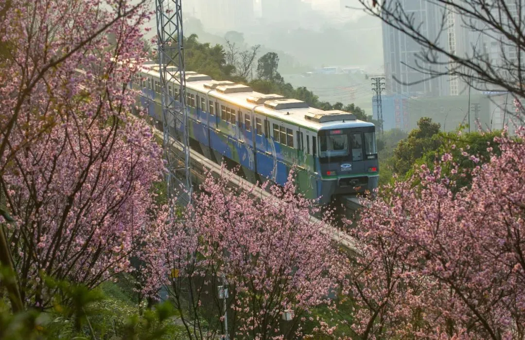 “开往春天的列车”，正载着这座城市的希望，驶向幸福！