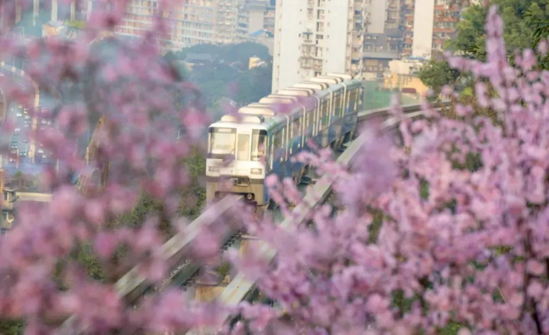 “开往春天的列车”，正载着这座城市的希望，驶向幸福！