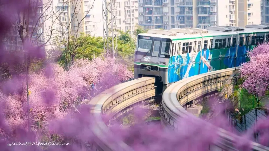 “开往春天的列车”，正载着这座城市的希望，驶向幸福！