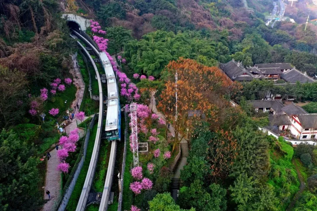 “开往春天的列车”，正载着这座城市的希望，驶向幸福！