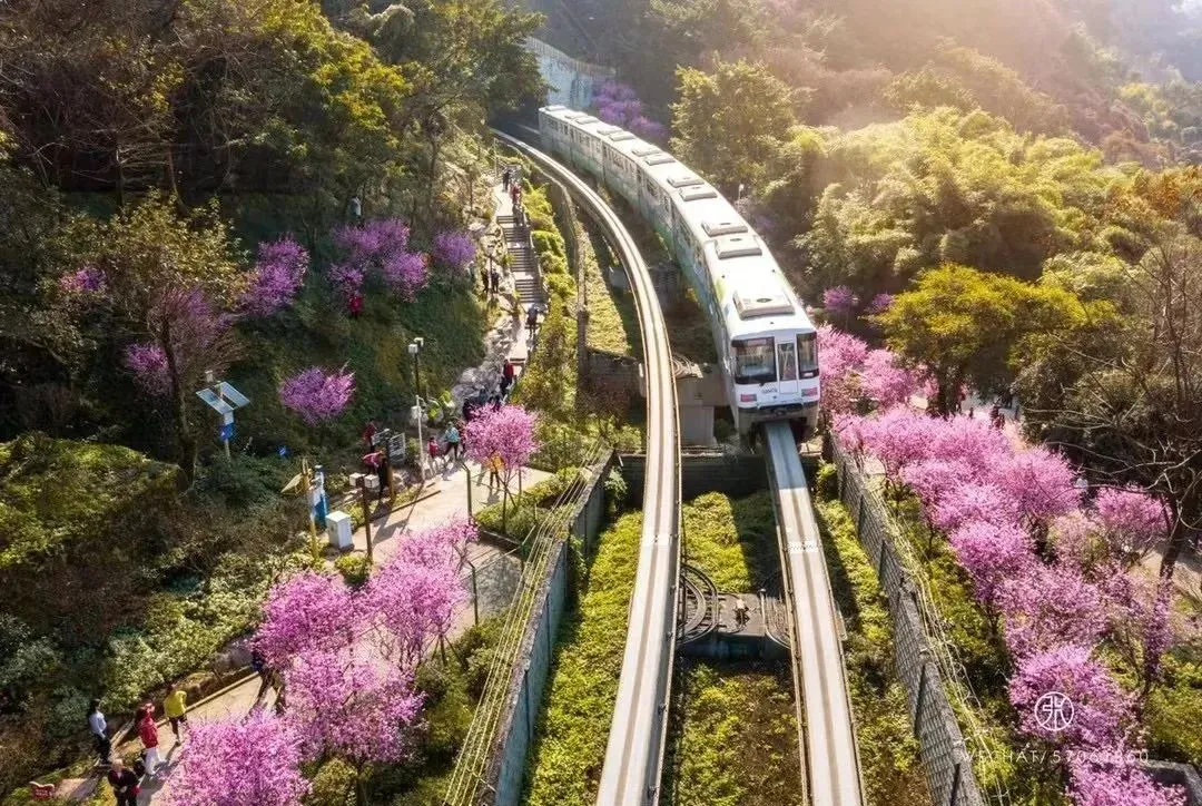 “开往春天的列车”，正载着这座城市的希望，驶向幸福！