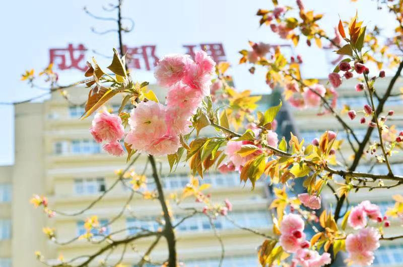 多图丨快来和春天约会，四川高校美景合影地来了！