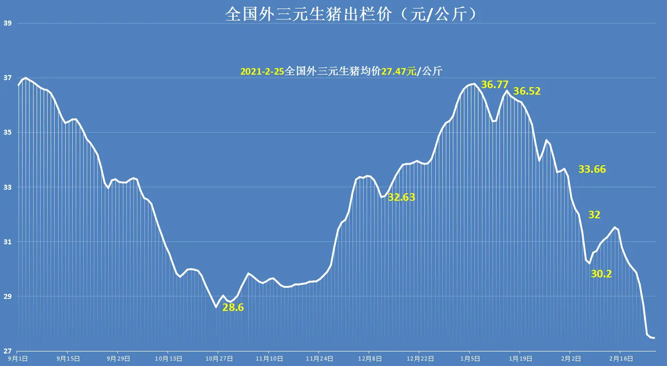 2月25日，多地猪价企稳上涨，元宵将至，上涨潮来袭？1个坏消息！