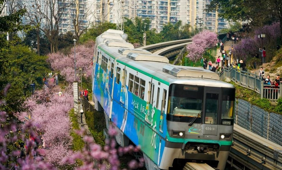 重庆：一路繁花相送 带你驶向春天