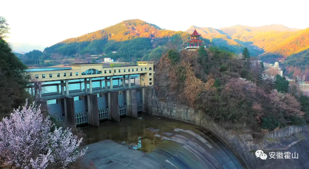 山花烂漫佛子岭