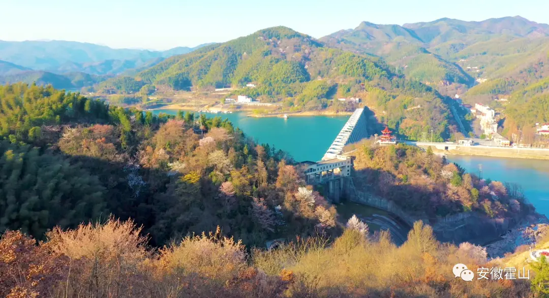 山花烂漫佛子岭