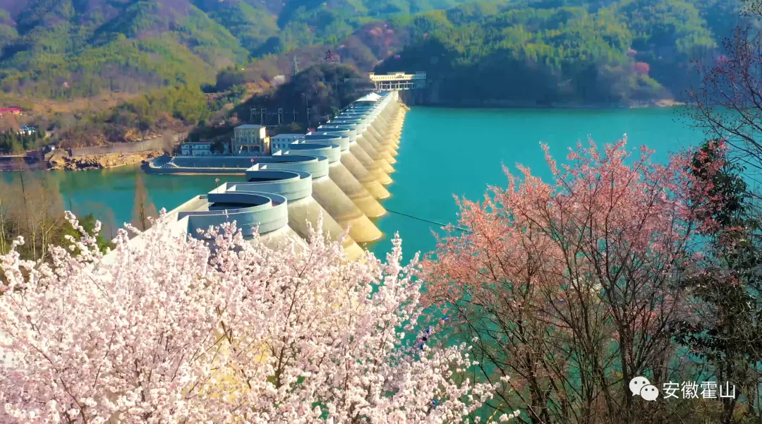 山花烂漫佛子岭