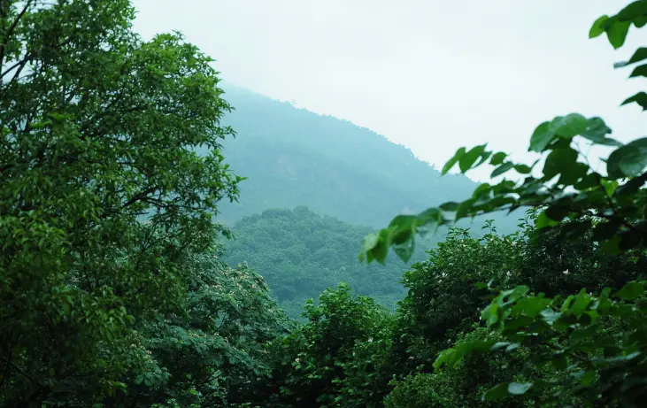 人在遭遇不顺时，牢记两条天规，往往好运自来