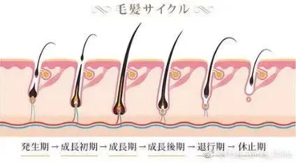 求求你们女生不要再纹眉了！这个比变丑更可怕！看完我慌了！