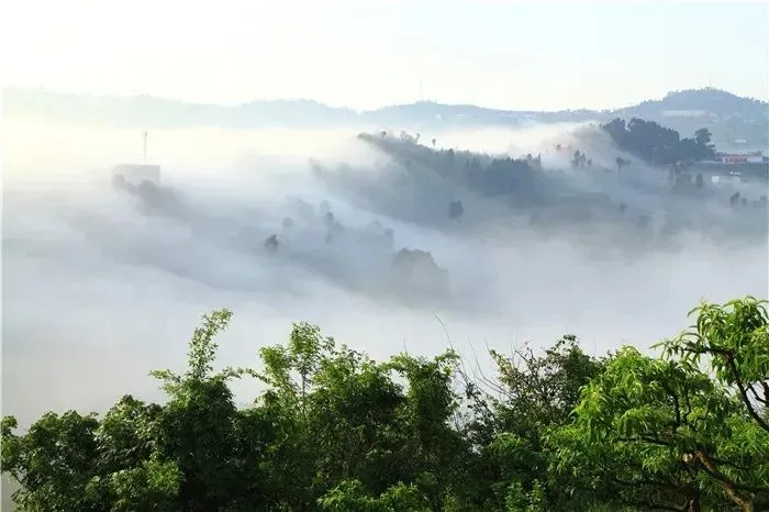 人称“桃花源”，这个“网红村”果真名不虚传！