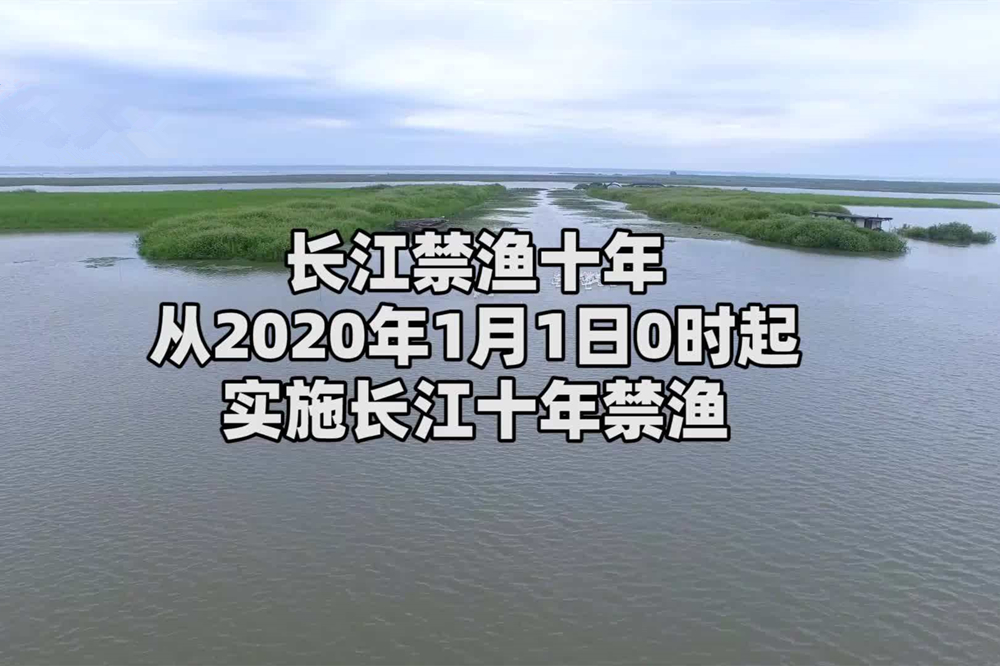 钓鱼人注意了：钓鱼新政之后，这些钓法受到限制，不要因小失大！