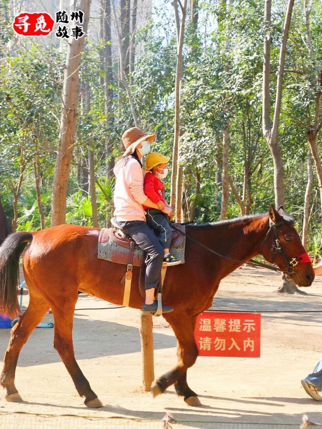 暴走10公里！航拍随州各大广场！只为拍下……