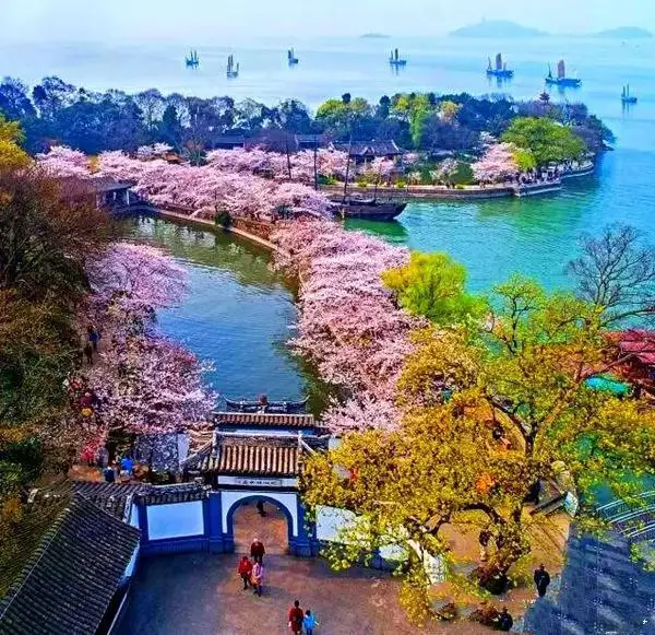 比江西婺源更美的春游胜地！林芝桃花，金川梨花，鼋头渚樱花！