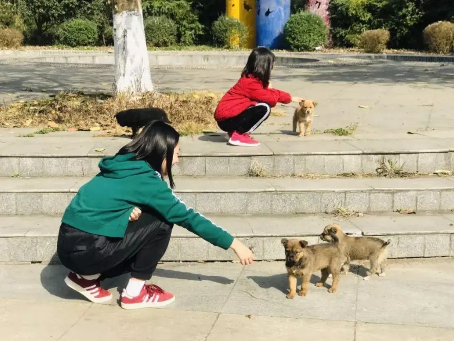 爷爷把孙子喂的兔子炖了，还对娃展示，网友：孩子在等一句道歉