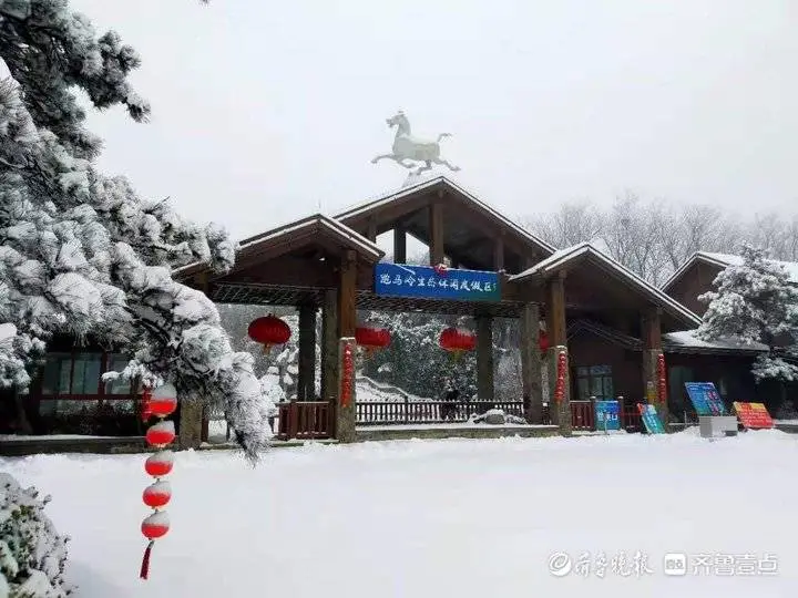 牛年首场降雪有多大？济南跑马岭秒变“雪窝”，积雪厚20厘米