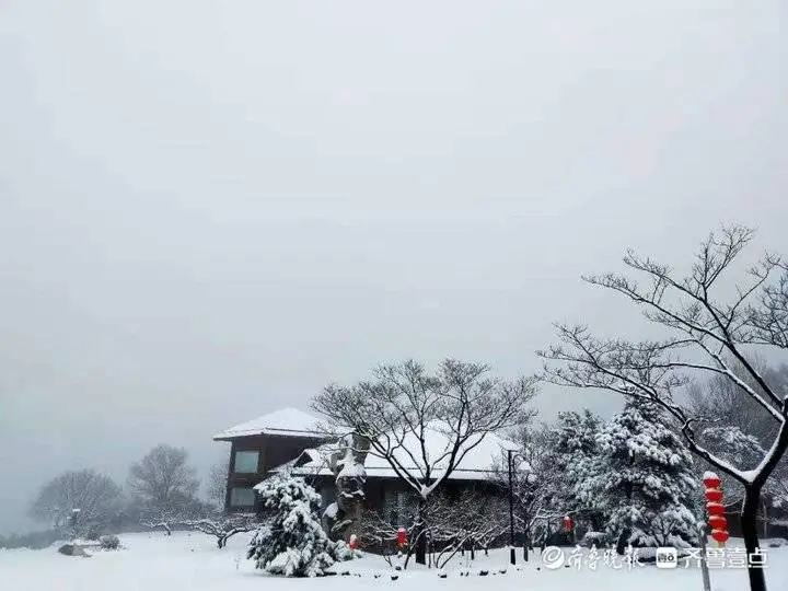 牛年首场降雪有多大？济南跑马岭秒变“雪窝”，积雪厚20厘米