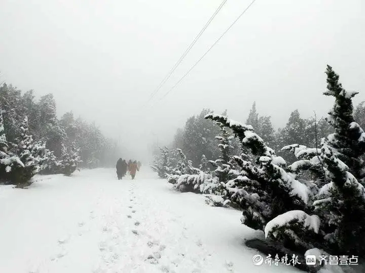 牛年首场降雪有多大？济南跑马岭秒变“雪窝”，积雪厚20厘米