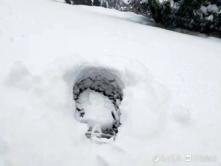 牛年首场降雪有多大？济南跑马岭秒变“雪窝”，积雪厚20厘米