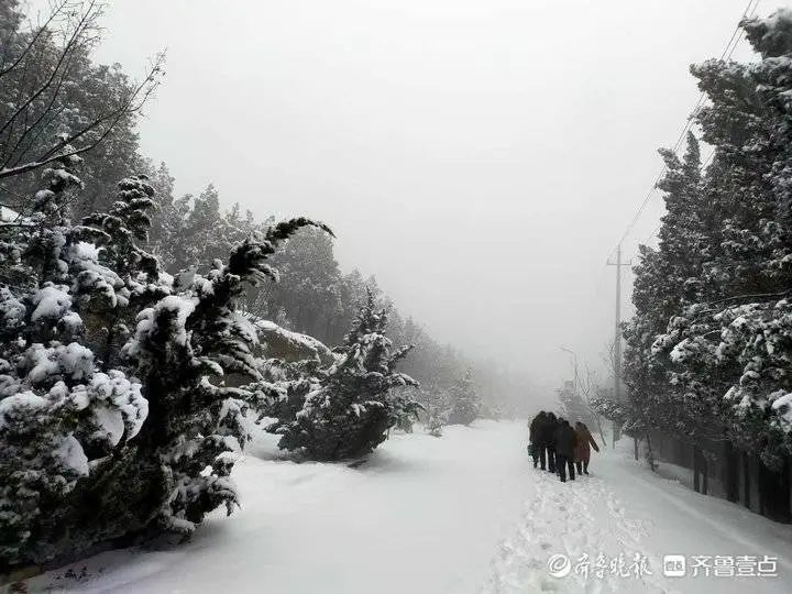 牛年首场降雪有多大？济南跑马岭秒变“雪窝”，积雪厚20厘米