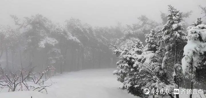 牛年首场降雪有多大？济南跑马岭秒变“雪窝”，积雪厚20厘米