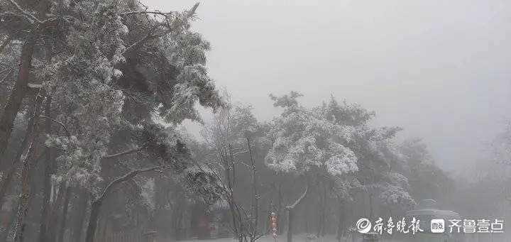 牛年首场降雪有多大？济南跑马岭秒变“雪窝”，积雪厚20厘米