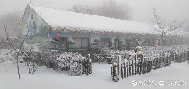 牛年首场降雪有多大？济南跑马岭秒变“雪窝”，积雪厚20厘米