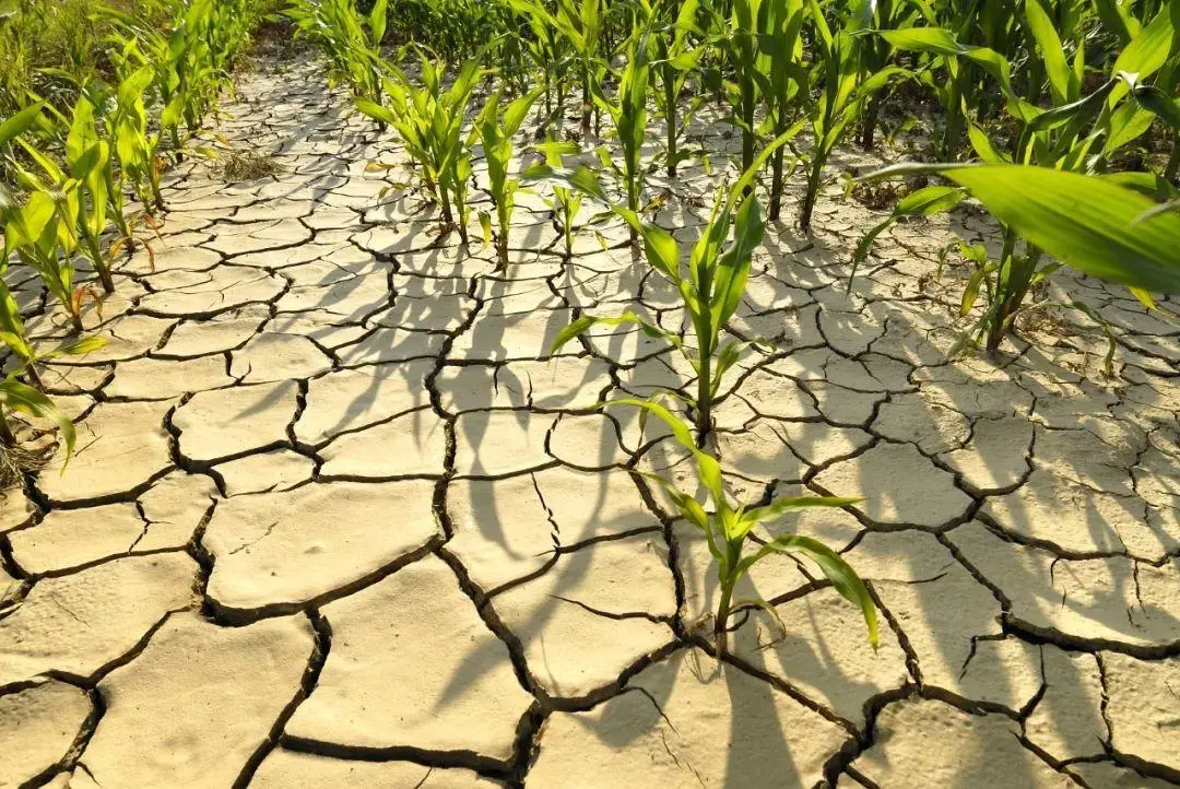 中国最缺水的地方为何不是干旱少雨的大西北，而是华北地区？